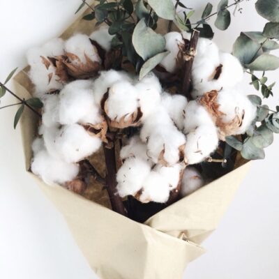 Buchet de flori " Bumbac"